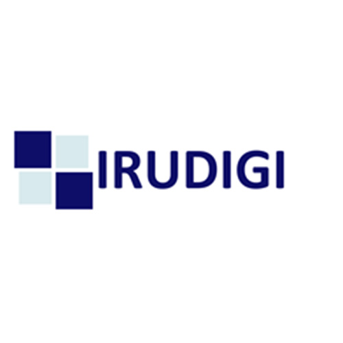 Logo Irudigi, client qui a fait confiance à Claire pour la gestion de son activité sur Bayonne